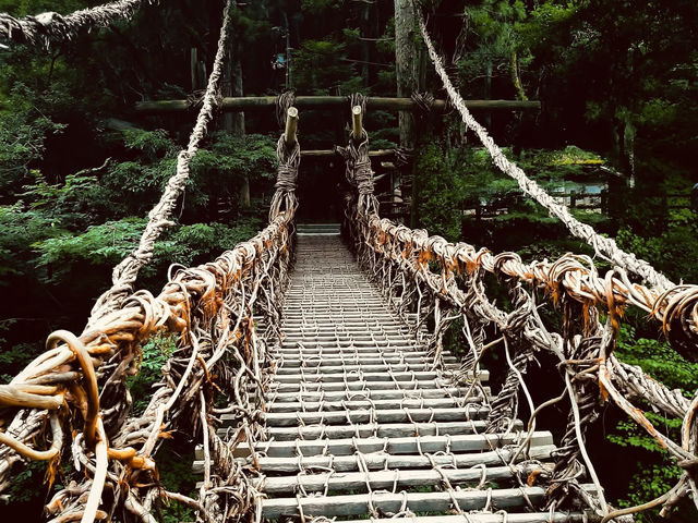 🌿 Solo Adventure: Iya Valley – Japan’s Hidden Mountain Paradise