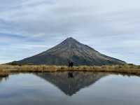 🏔 New Plymouth 小富士山步道｜用雙腳收藏 Taranaki 的浪漫角度
