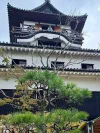 **Solo Traveler's Guide to Inuyama: A Journey Through Japan's Living History** 🏯🎎