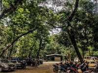 A popular cold spring in Mabinay, Negros