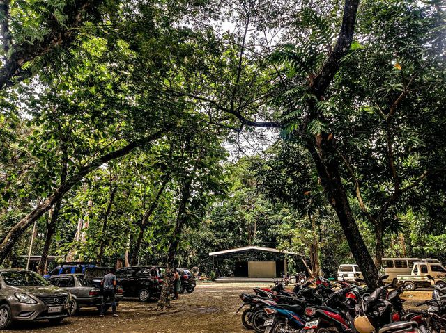 A popular cold spring in Mabinay, Negros