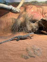 A day with animals