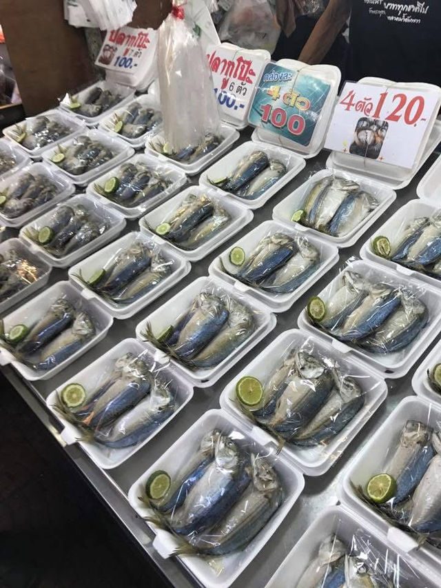 ตลาดน้ำอัมพวา ยามเช้า
