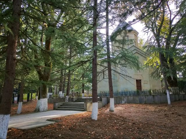 Chill Day at Borjomi Central Park