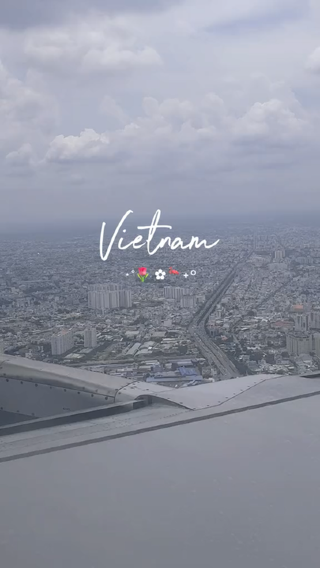 Vietnam Dump