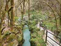 Floating Through a Dream at Martvili Canyon