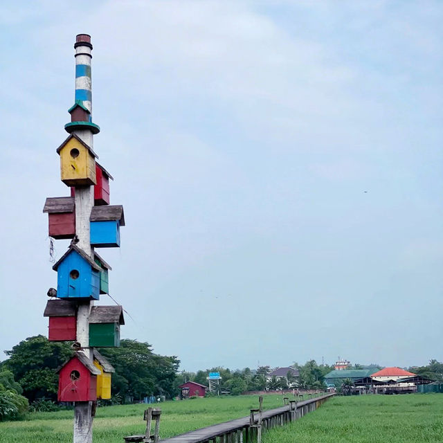 TM Farm Yangon: A Solo Traveler's Rustic Escape on a Budget** 🌿🚜