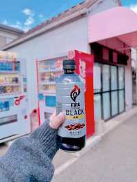 다양한 여행을 즐기기 좋은 일본 다카마쓰 여행