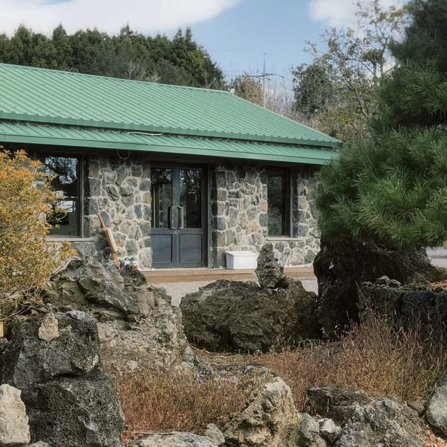 애기 동백나무 숲을 만날 수 있는 ”돌낭예술원“ 🌺