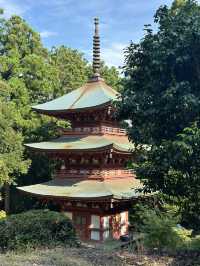 【静岡】 山全体が霊域 緑に癒され静岡最古の塔も・・