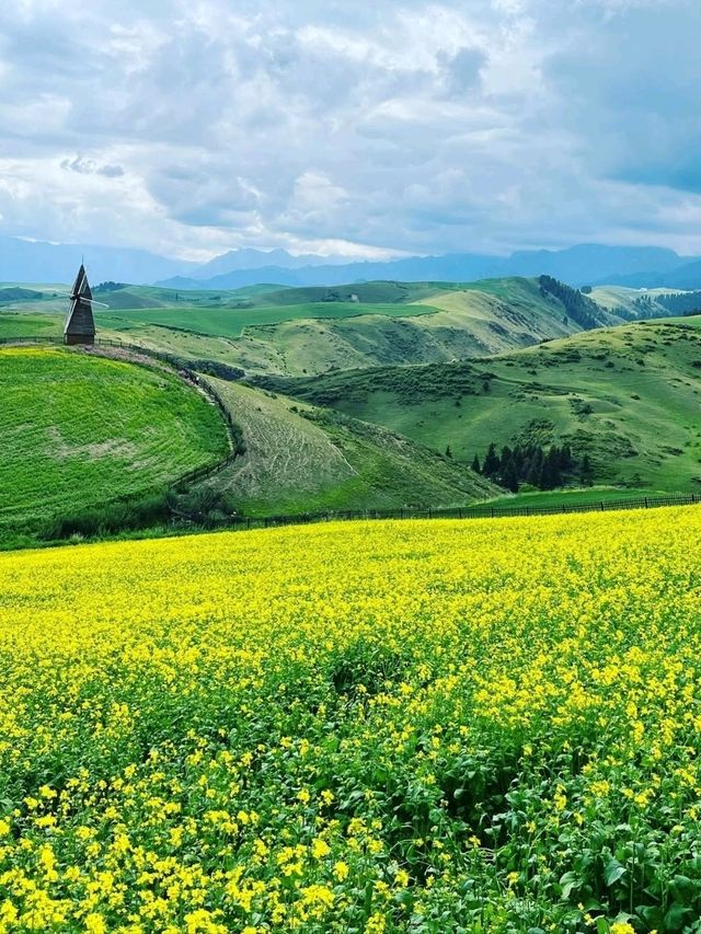 Hidden Gem Alert: Changji Hui Scenic Spot Totally Surprised Me