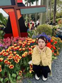 🌷 Visit Guangzhou Spring Festival 🌹✨