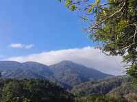 Yangmingshan National Park 🍃 