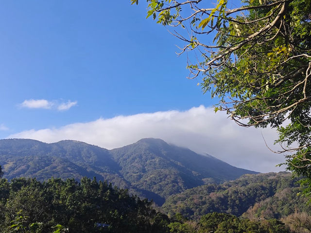 Yangmingshan National Park 🍃 