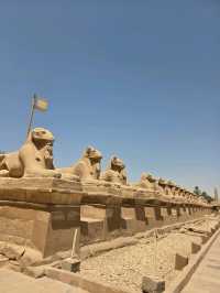 ルクソール🇪🇬弾丸日帰り1日プラン