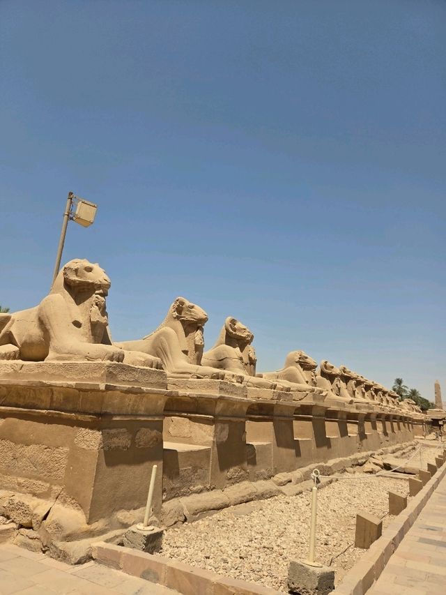 ルクソール🇪🇬弾丸日帰り1日プラン