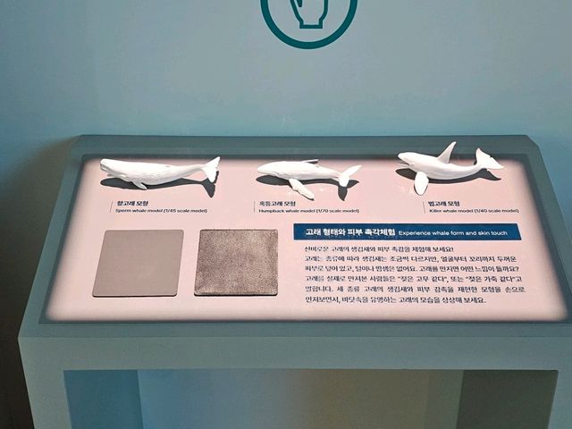 인천 국립 해양박물관 꿀팁
