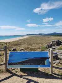 Peaceful Waves and Pine Trees at Praia do Vilar