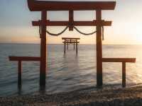 【大魚神社の海中鳥居】潮の満ち引きが生む神秘の絶景⛩️🌊