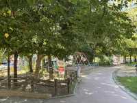 博多街角綠意：冷泉公園散策指南