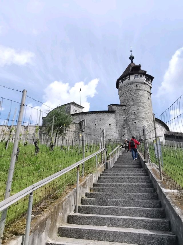 Schaffhausen, Switzerland’s Hidden Gem💎