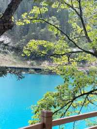 Jiuzhaigou: China’s Hidden Paradise of Colors