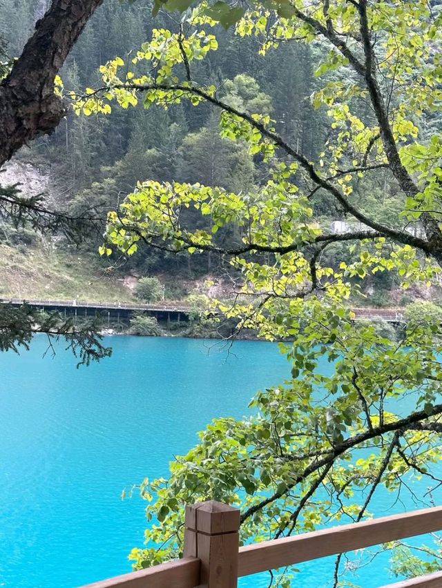Jiuzhaigou: China’s Hidden Paradise of Colors