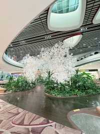 ✨A Layover That Felt Like a Vacation – My Amazing Experience at Changi Airport ✨