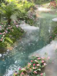 Chengdu’s New Hidden Gem: A Real-Life Emerald Forest Escape! 🦋🌿