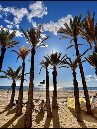 Discover the Hidden Gem of Benidorm