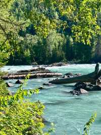 The Hidden Flow of Paradise: Inside Xinjiang’s Kanas River