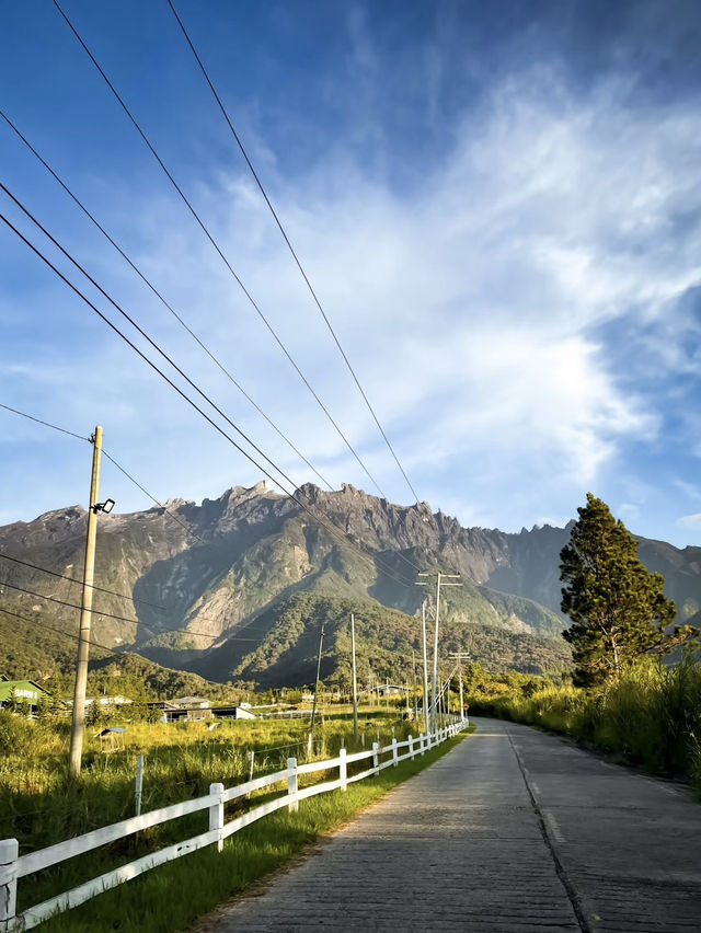 ⛰️ Chillin’ in Kundasang – Views, Cows & Cool Vibes! 🐮🌤️ ⛰️ Chillin’ in Kundasang – Views, Cows & Cool Vibes! 🐮🌤️
