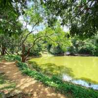 Serene Beauty of Hatthikucchi