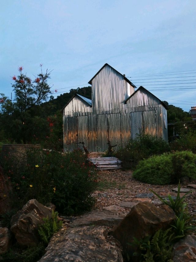 🌿☕✨ Padee in the Wild - Rayong ✨