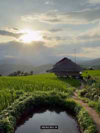 บ้านป่าบงเปียง เสน่ห์นาขั้นบันไดแห่งเชียงใหม่
