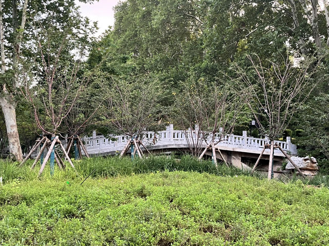 🕰🌳 Zhengzhou People’s Park — The City’s Living Square
