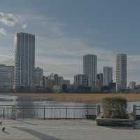 เดินเล่นพาชมบรรยากาศบ่อน้ำชิโนบาสุ 🪷