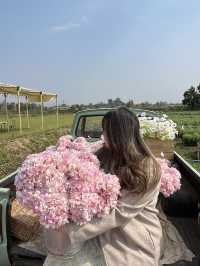 🌸 รีวิว I Love Flower Farm