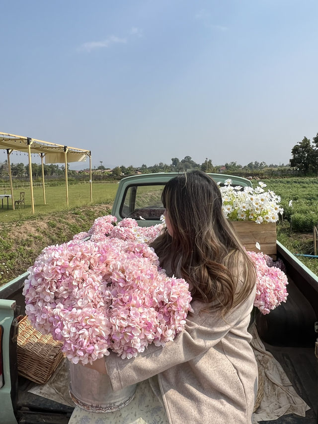 🌸 รีวิว I Love Flower Farm  🌸 รีวิว I Love Flower Farm