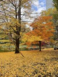 🍁 ฮอกไกโด Autumn Shock