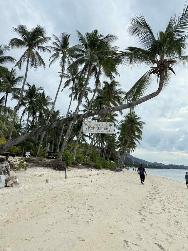 เที่ยวเกาะสมุย🏝️