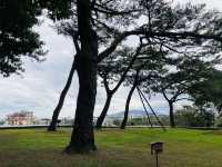 去松園別館看百年松樹