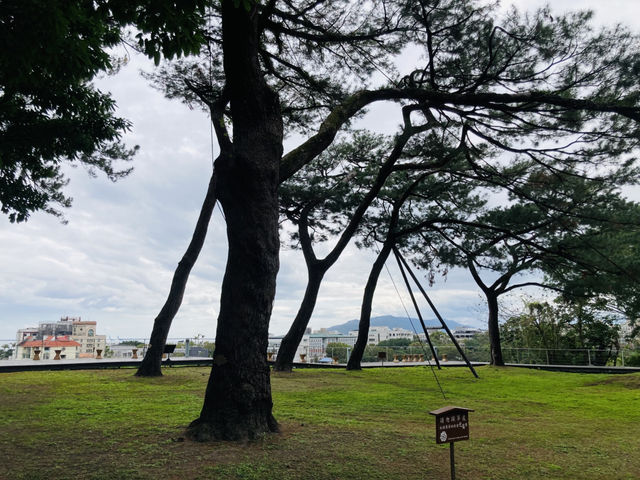去松園別館看百年松樹