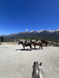 紐西蘭景點推薦—🐑 Glenorchy Animal Experience
