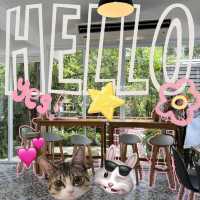 🍵💗⛱️Bean’s Pan บ้านแป้น ทับมาระยอง🚜🏡🚲