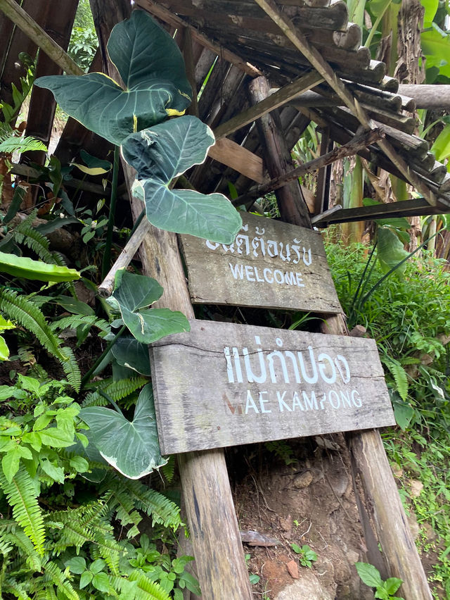 หมู่บ้านแม่กำปอง เชียงใหม่⛰️