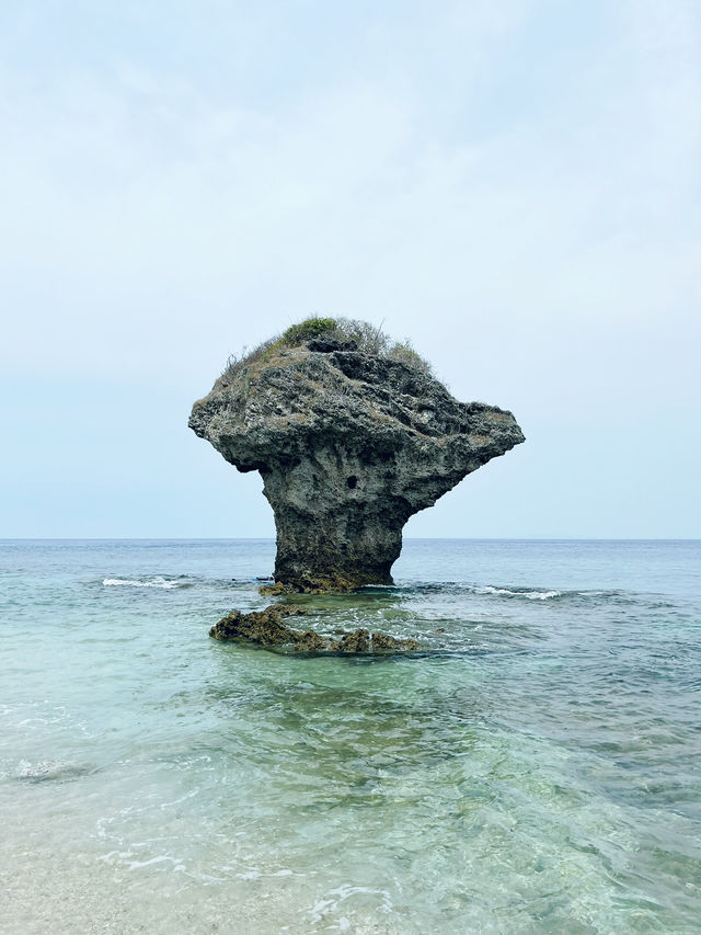 小琉球｜花瓶岩——海島最可愛的地標，從藍到透明的 50 種海色 🌊🪸