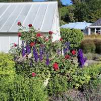 Dunedin Botanic Garden