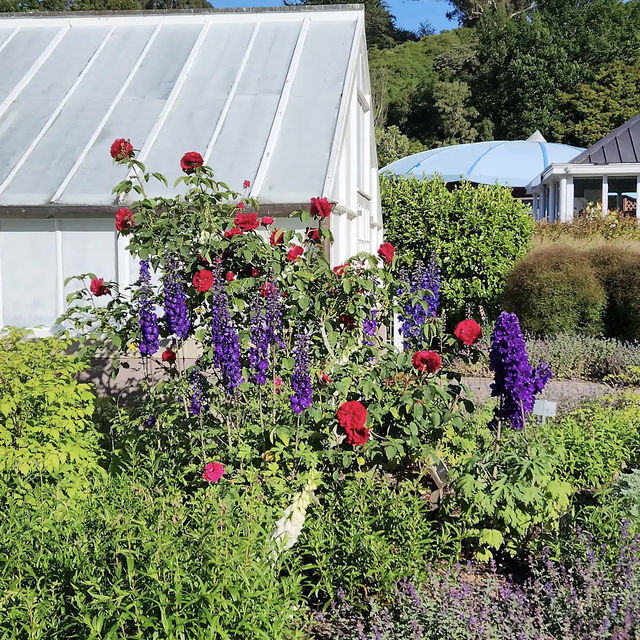 Dunedin Botanic Garden