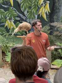【クイーンズタウン】ニュージーランドの自然と出会える「キウィ・パーク・クイーンズタウン」🪺🌏